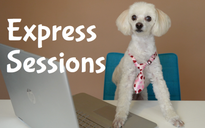 Express Sessions Booking NOW