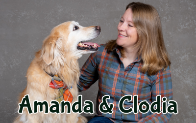 Dog Photo Session BTS