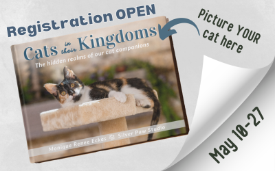 Cats in their Kingdoms Book Project