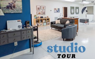 Studio Tour